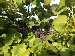 Lakeside Lodge And Suites