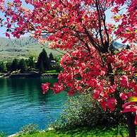 Lakeside Lodge And Suites