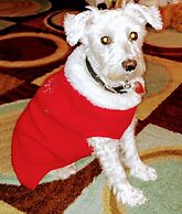 Comfort Suites Johnson City near University