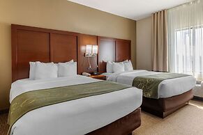 Comfort Suites Johnson City near University