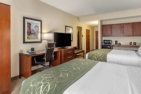 Comfort Suites Johnson City near University