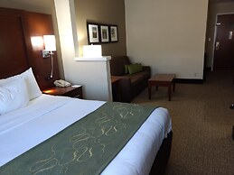 Comfort Suites Johnson City near University