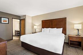 Comfort Inn & Suites Albuquerque Downtown