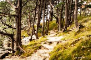 Comfort Suites Wisconsin Dells Area