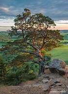 Comfort Suites Wisconsin Dells Area