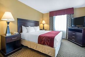 Comfort Suites Wisconsin Dells Area