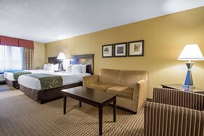Comfort Suites Wisconsin Dells Area