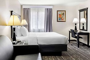 Best Western Saluki Inn