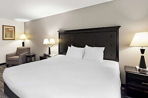 Best Western Saluki Inn