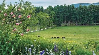 Holiday Inn Express & Suites Pittsfield - Berkshires