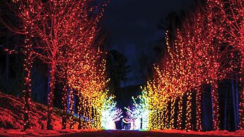 Holiday Inn Express & Suites Pittsfield - Berkshires