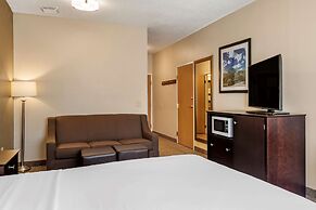 Comfort Inn And Suites Paw Paw