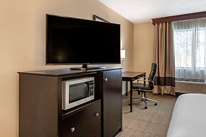 Comfort Inn And Suites Paw Paw