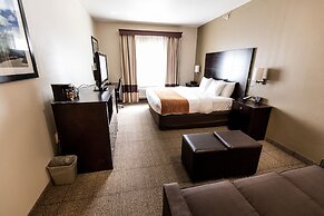 Comfort Inn And Suites Paw Paw