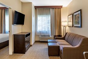 Comfort Inn And Suites Paw Paw