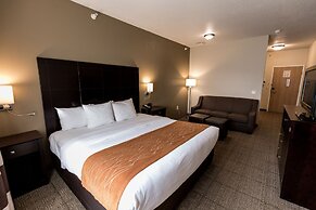 Comfort Inn And Suites Paw Paw