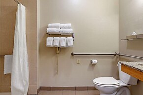Comfort Inn And Suites Paw Paw