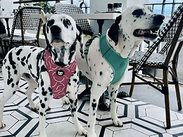 The Winchester Hotel by NEWMARK