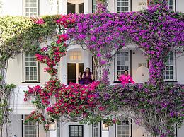 The Winchester Hotel by NEWMARK