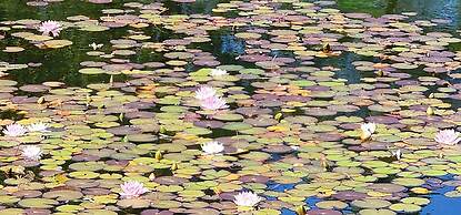 SureStay by Best Western Richmond Vancouver Airport