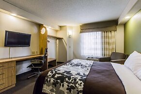 Rodeway Inn At Six Flags