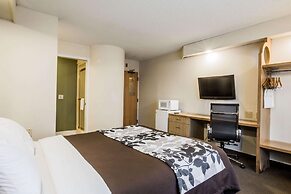 Rodeway Inn At Six Flags