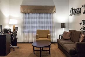 Rodeway Inn At Six Flags