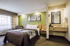 Rodeway Inn At Six Flags