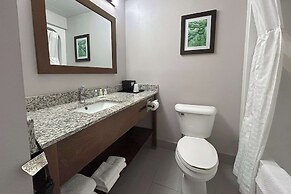 Quality Inn & Suites Tarboro - Kingsboro