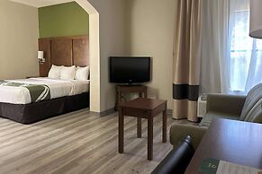 Quality Inn & Suites Tarboro - Kingsboro
