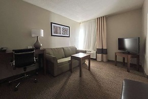 Quality Inn & Suites Tarboro - Kingsboro