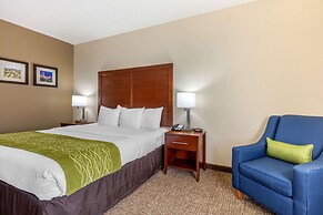 Comfort Inn Lenoir City/Knoxville