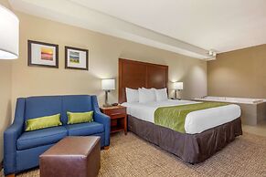 Comfort Inn Lenoir City-Knoxville