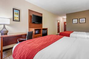 Comfort Inn Lenoir City-Knoxville