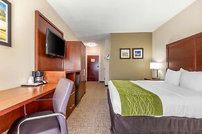 Comfort Inn Lenoir City-Knoxville
