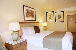 Cities Of Gold Casino