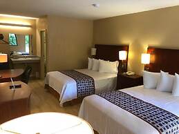 Inn Between The Hedges