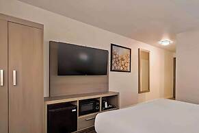 Comfort Inn Hayward / Union City