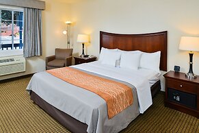 Blu Pacific Hotel