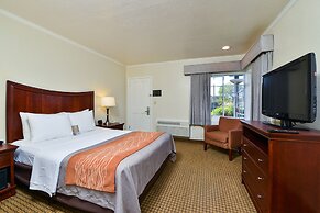 Blu Pacific Hotel