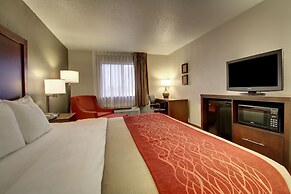Quality Inn Waverly