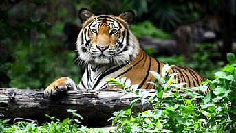 M Star Columbus North