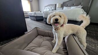 Best Western Swan Castle Inn