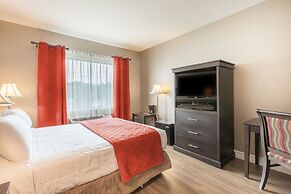 Ambassadeur Hotel