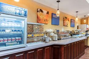 Comfort Inn & Suites Jasper Hwy 78 West