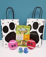 Comfort Inn & Suites Tempe Phoenix Sky Harbor Airport