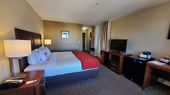 Comfort Inn & Suites Tempe Phoenix Sky Harbor Airport