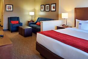 Comfort Inn & Suites Tempe Phoenix Sky Harbor Airport
