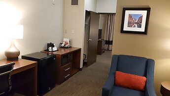 Comfort Inn & Suites Tempe Phoenix Sky Harbor Airport