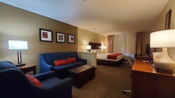 Comfort Inn & Suites Tempe Phoenix Sky Harbor Airport